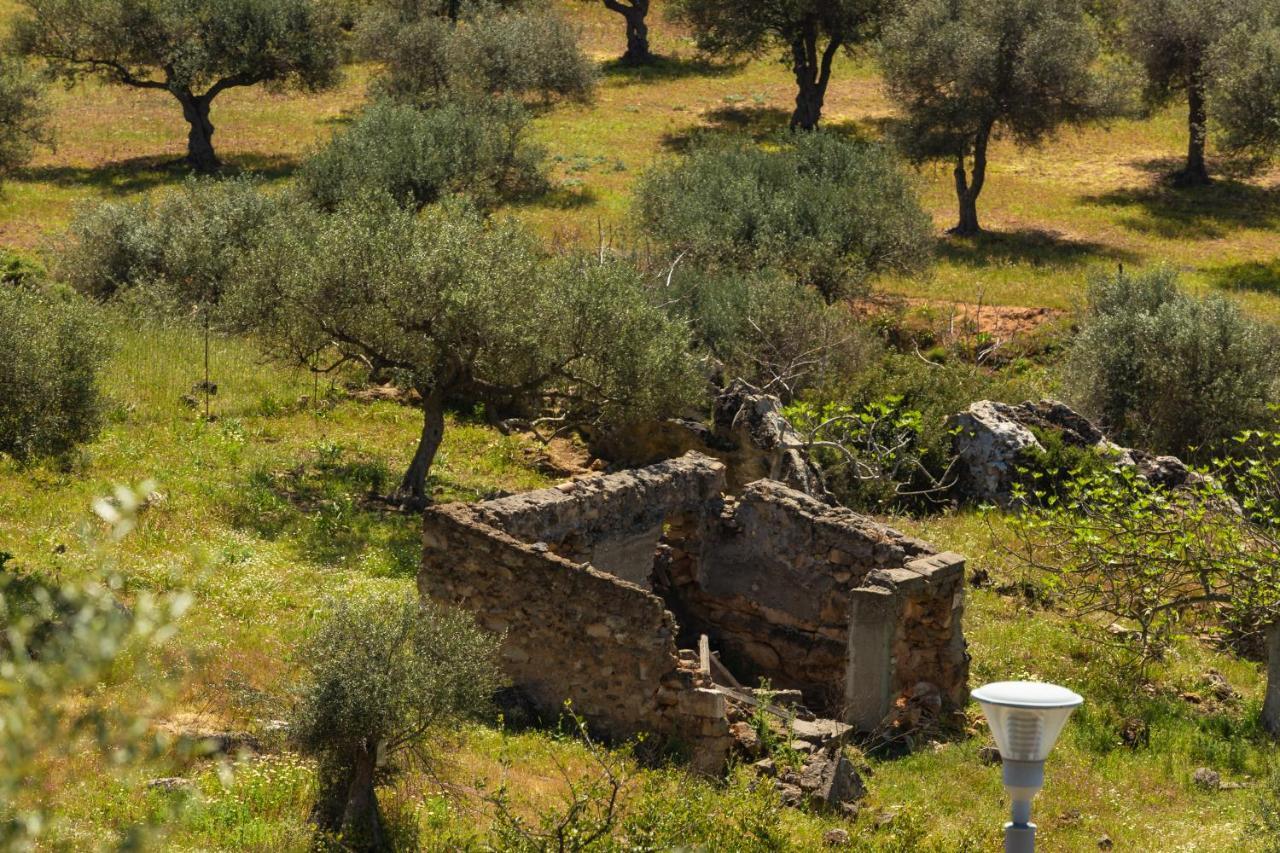 Luxury In Halepa דירה