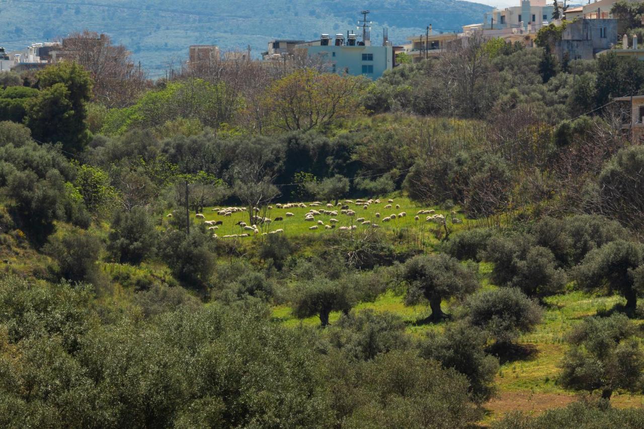 דירה Luxury In Halepa